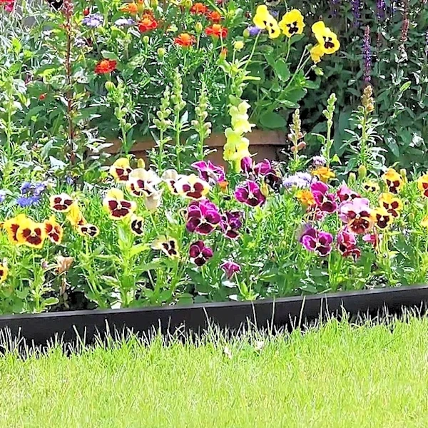 No Digging Necessary: The Amazon Garden Border With An Easy Install