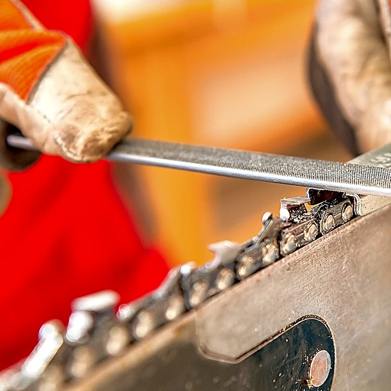 Faster Than A File: The Wall-Mounted Harbor Freight Find That Sharpens Chainsaw Blades