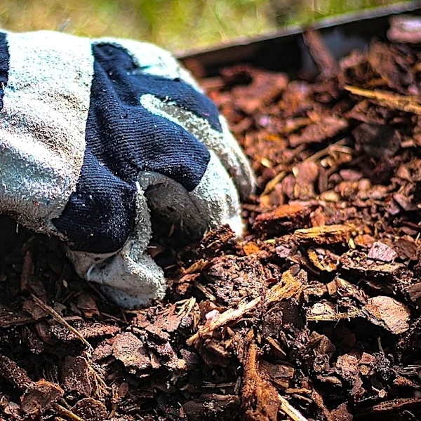 Put Your Traditional Mulch Away: Use This Laundry Room Find Instead