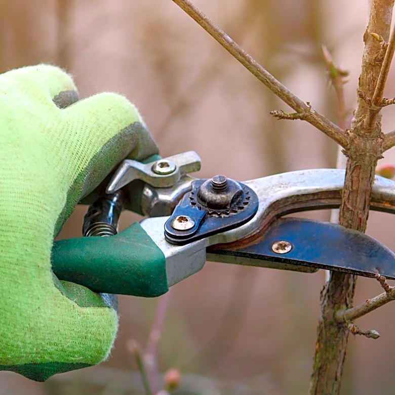 Quickly Sharpen Your Garden Tools With An Easy-To-Use Tool From STIHL