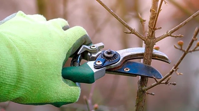 Quickly Sharpen Your Garden Tools With An Easy-To-Use Tool From STIHL