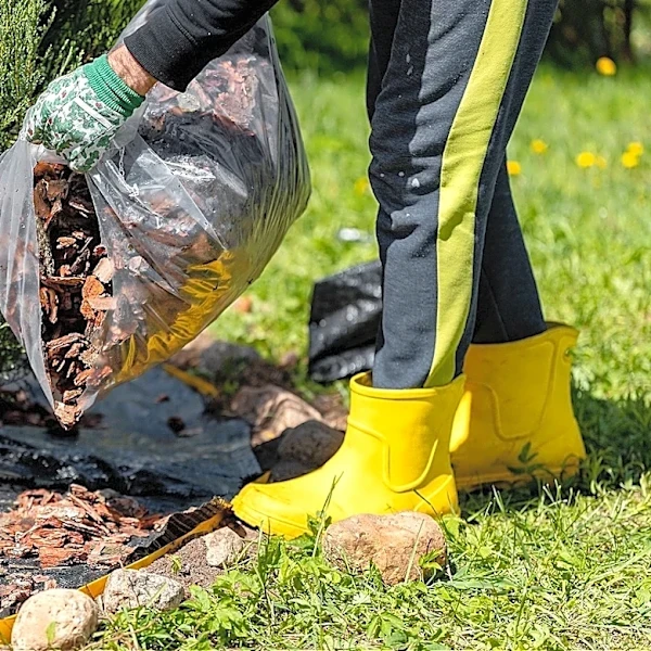 Say Goodbye To Traditional Mulch: The Long-Blooming Perennial That Can Suppress Weeds