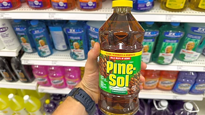 Who Owns Pine-Sol? The Major Brand Behind This Popular Cleaner