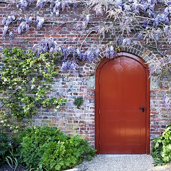Not Climbing Hydrangea: The Flowering Vine That Looks Great On A Brick Wall