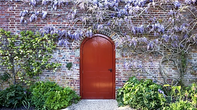 Not Climbing Hydrangea: The Flowering Vine That Looks Great On A Brick Wall