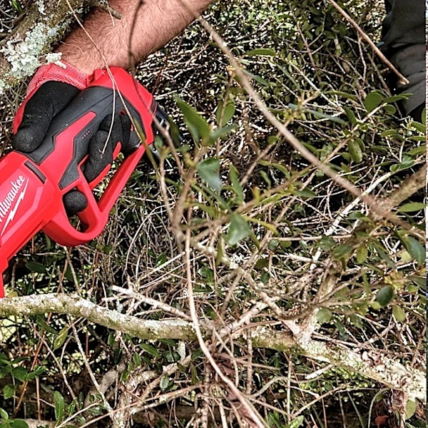 12 Lesser-Known Milwaukee Tools That'll Upgrade Your Gardening Routine