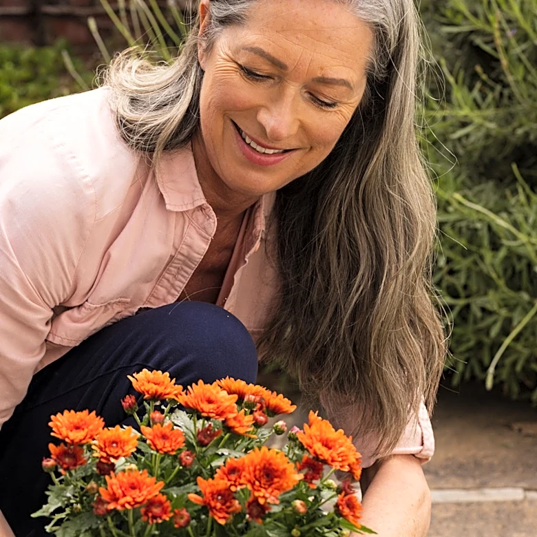 Not Mums: The Fall-Blooming Plant With White Flowers That'll Beautify Your Landscape