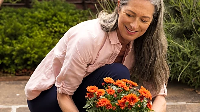 Not Mums: The Fall-Blooming Plant With White Flowers That'll Beautify Your Landscape