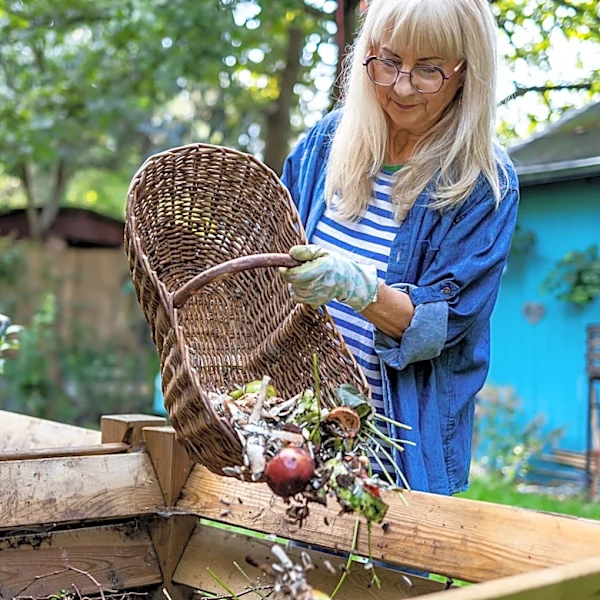 Not Toilet Paper Rolls: The Common Hygiene Staple You Should Compost