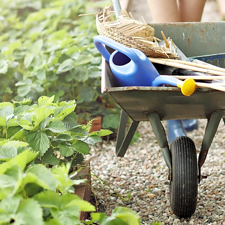One Tool For Every Job: The European System That Gets Gardening Right