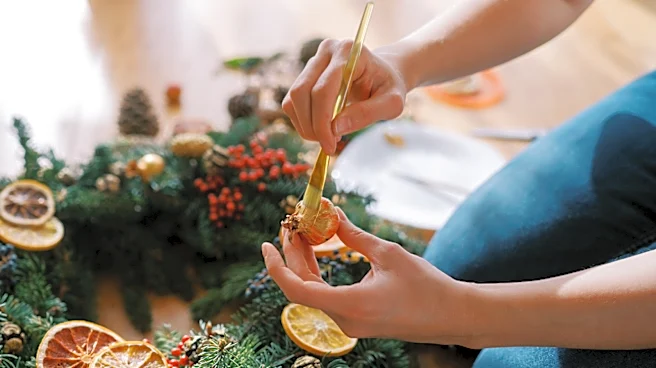 Stop Tossing Pomegranate Peels: Turn Them Into Whimsical Decor For Your Home