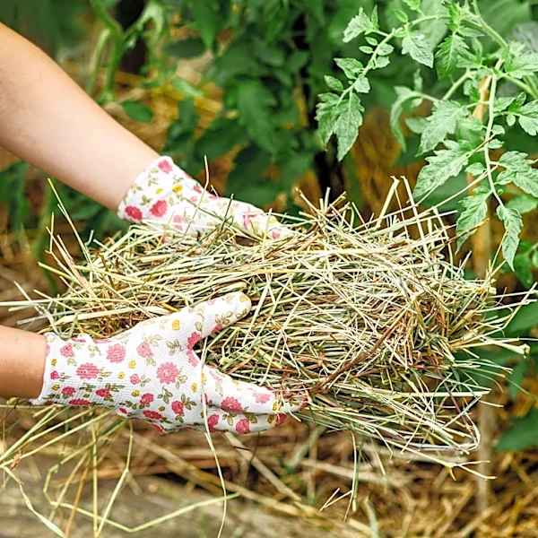 Say Goodbye To Traditional Mulch: The Perennial Grass With Deep Roots That Slows Weed Growth