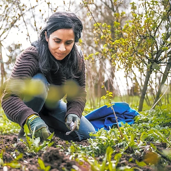 This Clever Amazon Tool Helps Gardening Discomfort And Doubles As An Outdoor Storage Solution