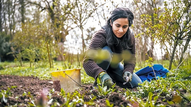 This Clever Amazon Tool Helps Gardening Discomfort And Doubles As An Outdoor Storage Solution