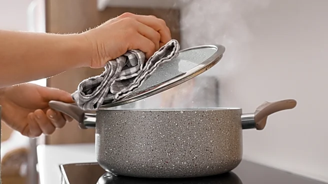 Never Burn Your Fingers On A Hot Pot Lid Again With A 10-Second Wine Cork Hack