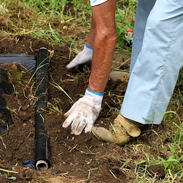 Light Mulch Vs Black Mulch: What's The Difference?