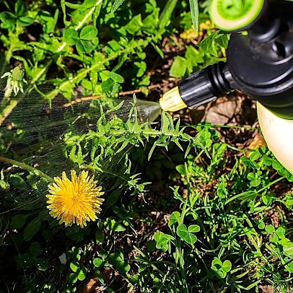 The Best Month To Control Weed Growth Is October. Here's What To Do