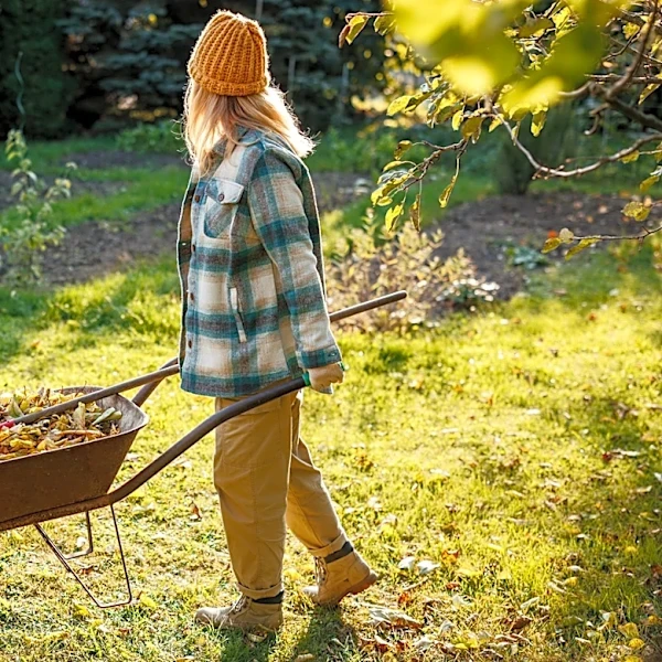 Get Mulch Down Before Mid-October. Here's Why