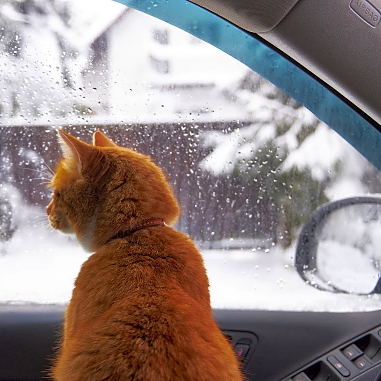 Keep Your Garage Warm & Toasty With An Amazon Solution You Can Control With Your Phone
