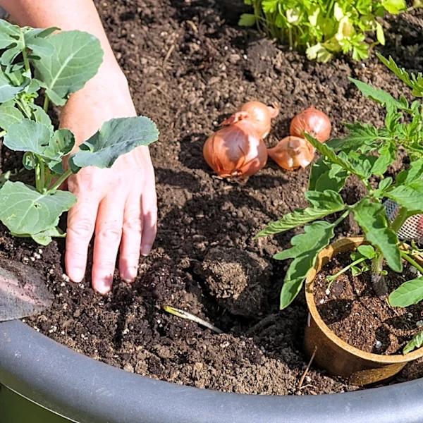Say Goodbye To Traditional Planters – Amazon Has A Game-Changing 'Lightweight' Solution