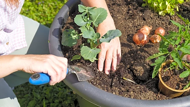 Say Goodbye To Traditional Planters – Amazon Has A Game-Changing 'Lightweight' Solution