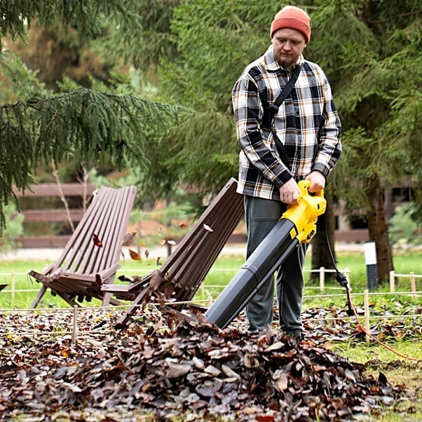 4 Disadvantages Of Handheld Leaf Blowers