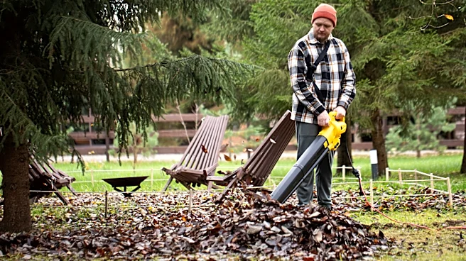 4 Disadvantages Of Handheld Leaf Blowers