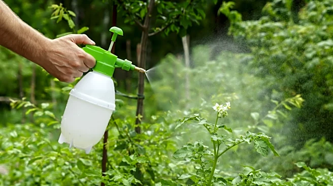 Natural Doesn't Always Mean Safe: Why I'm Hesitant To Use Homemade Products In My Garden