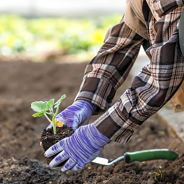 How To Reduce Nitrogen In Your Garden Soil With One Popular Crop
