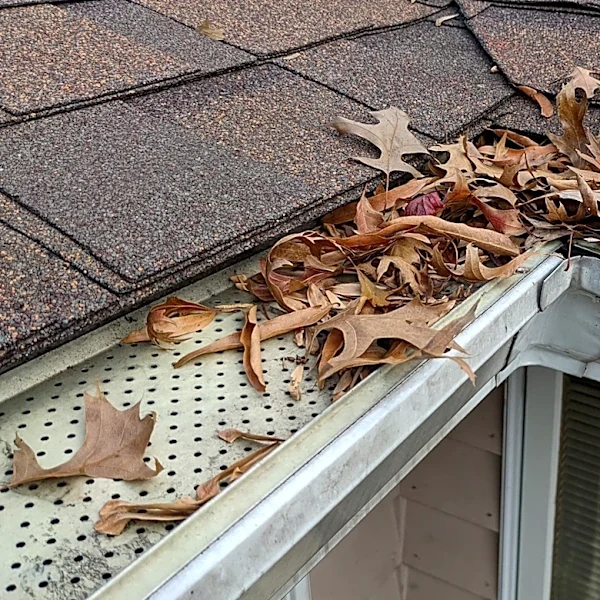 No More Scaling Ladders: Get Your Gutter Guards Clean With An Easy-To-Use Home Depot Tool