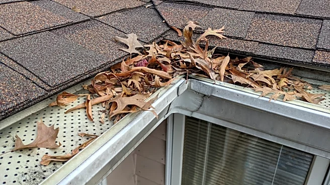 No More Scaling Ladders: Get Your Gutter Guards Clean With An Easy-To-Use Home Depot Tool