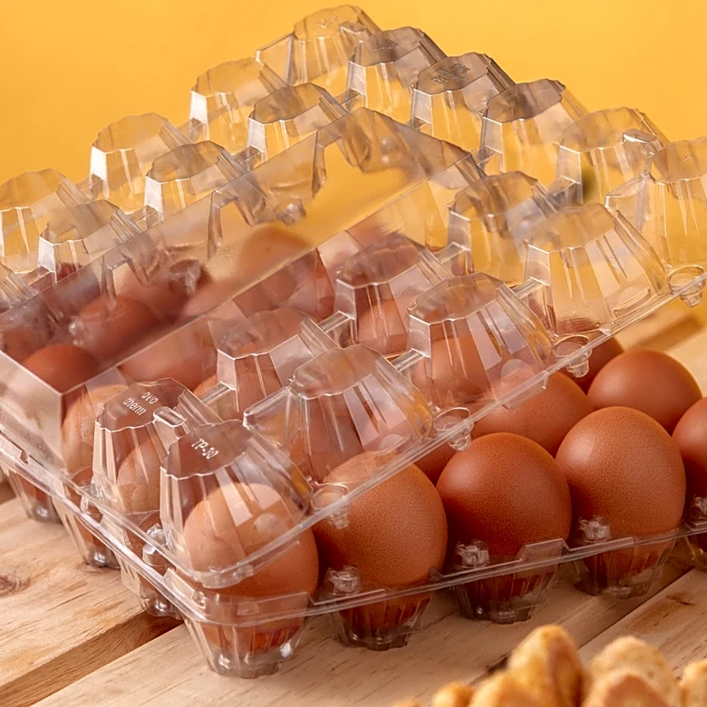Keep An Old Plastic Egg Carton To DIY A Clever Plant Propagation Station