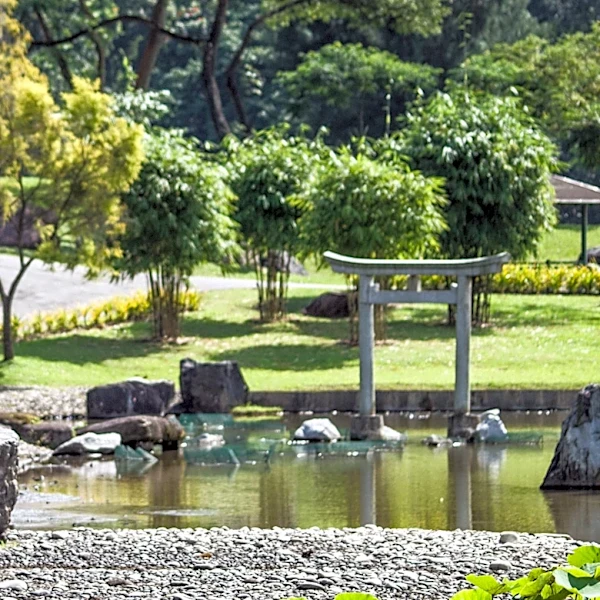 Out With Grass Lawns: The Premium, Japanese-Style Alternative