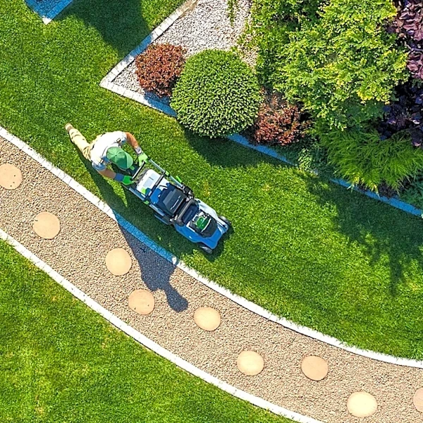 Keep This Part Of Your Lawn Trimmed To Help Slow Weed Growth