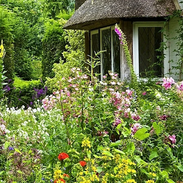 28 Plants That Are Capable Of Producing Year-Round Blooms