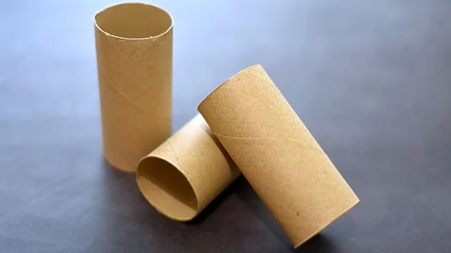 Stop Tossing Toilet Paper Tubes And Old Lace: Turn Them Into A Storage Box With Vintage Charm