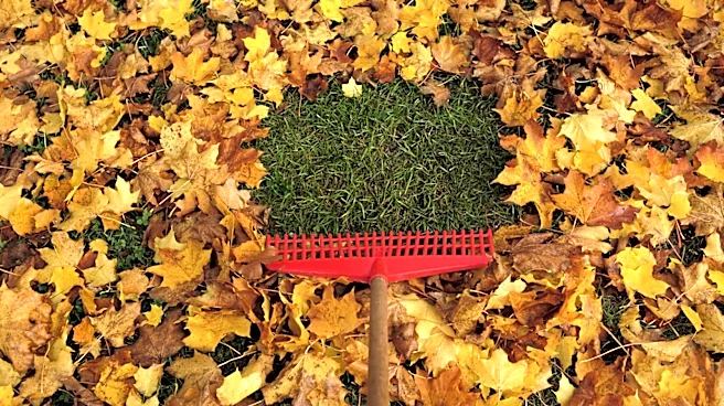 Say Goodbye To Traditional Rakes: The Easy-To-Use Tool From Amazon For Collecting Leaves