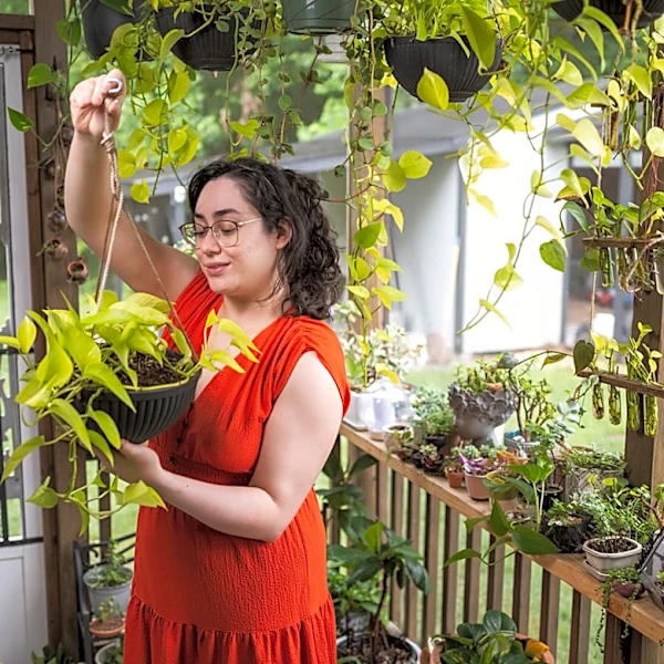 Goodbye Traditional Privacy Screens: Use Hanging Baskets For Your Porch Instead