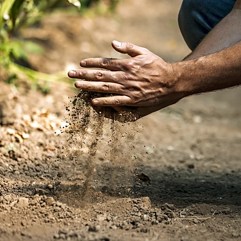 Ditch Traditional Lawn Aerators: The Amazon Find Made For Compacted Soil