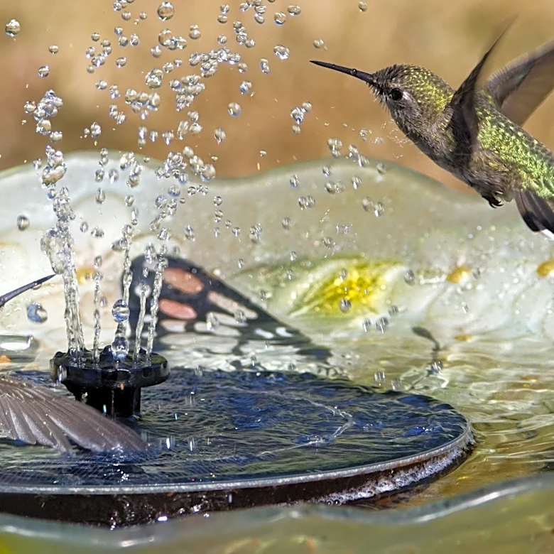 Why Your Solar Bird Bath Fountain May Struggle In Fall