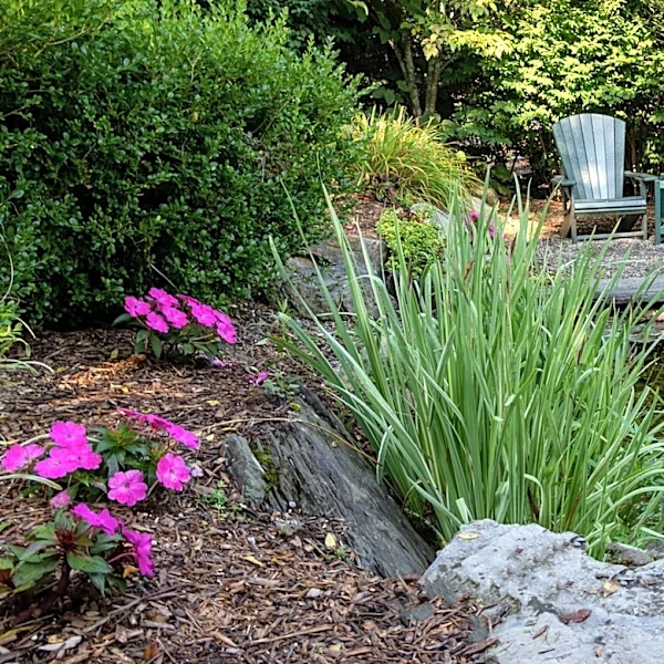 Woman Transforms Her Old Pond Into A Relaxing Swimming Pool