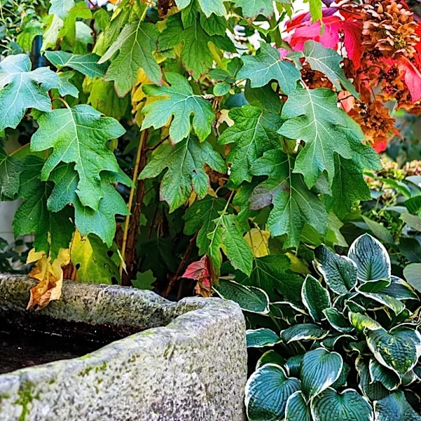 Goodbye Traditional Fountains: The Modern Alternative From Home Depot