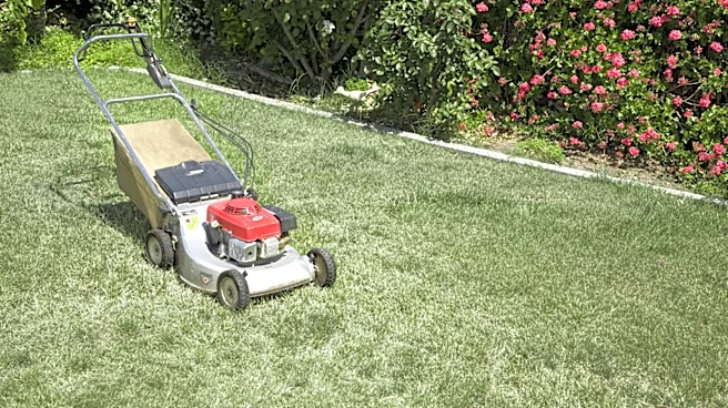 Get Your Lawn Mower Out Of The Garage: The Walmart Solution That Protects Your Machinery