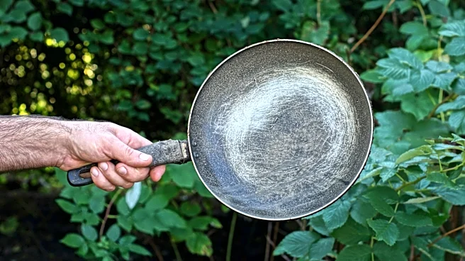 Upcycle An Old Frying Pan Into An Adorable Hanging Planter With A Savvy Diy