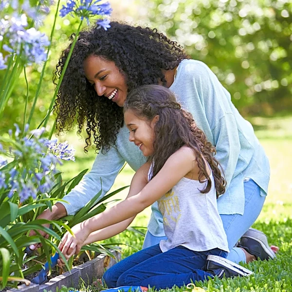 11 Old-Fashioned Flowers More Gardeners Should Grow