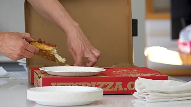 If You Have A Pizza Box, You Have The Start Of The Cutest Fairy House