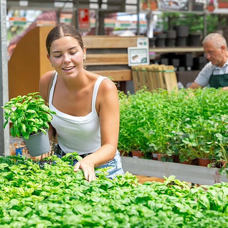 What Does Home Depot Do With Leftover Plants?