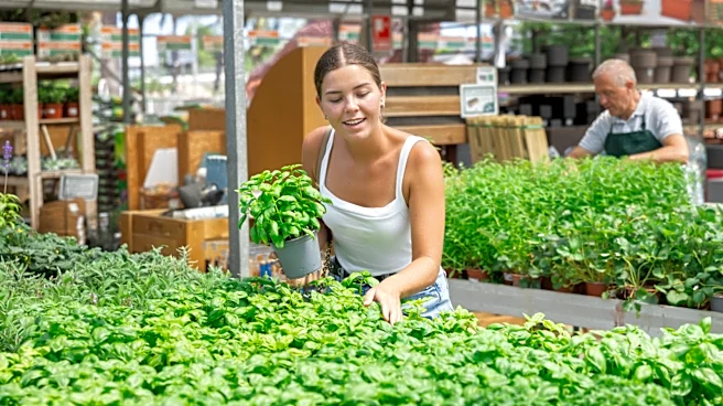 What Does Home Depot Do With Leftover Plants?