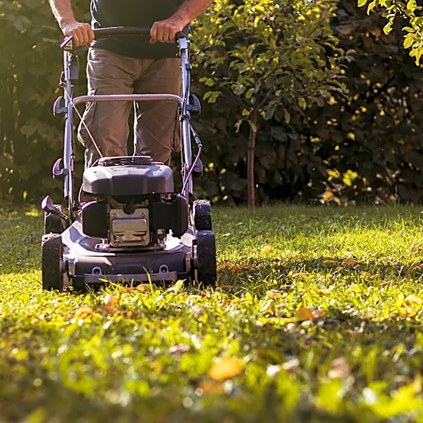 Can You Use Mulching Lawn Mower Blades Year-Round?