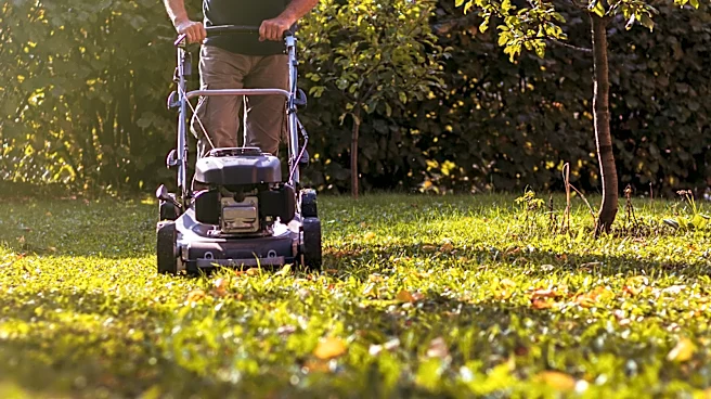 Can You Use Mulching Lawn Mower Blades Year-Round?